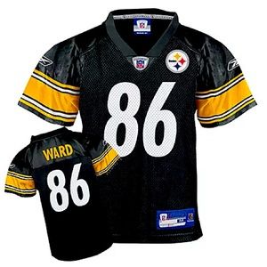 Heinz Ward Jersey Small (8)